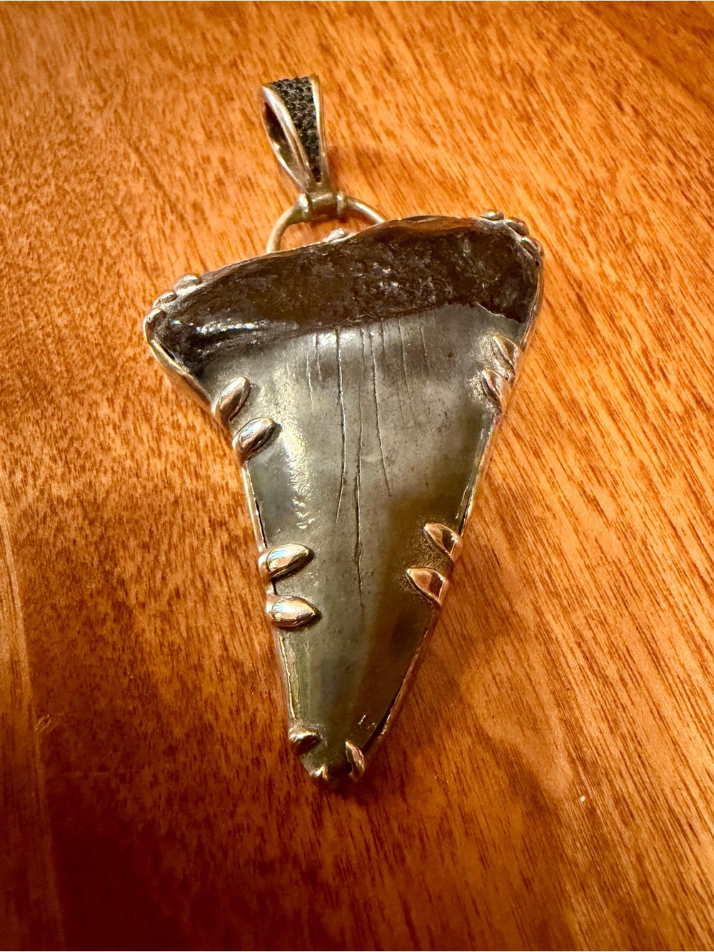 Shark Tooth Pendant in Dark Charcoal and Sterling Silver Setting
